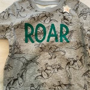 NWT boys dinosaur sweatshirt